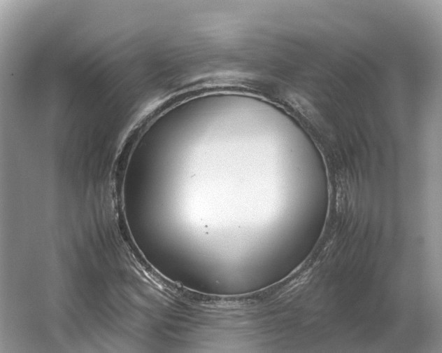 X0000064751164200602241825