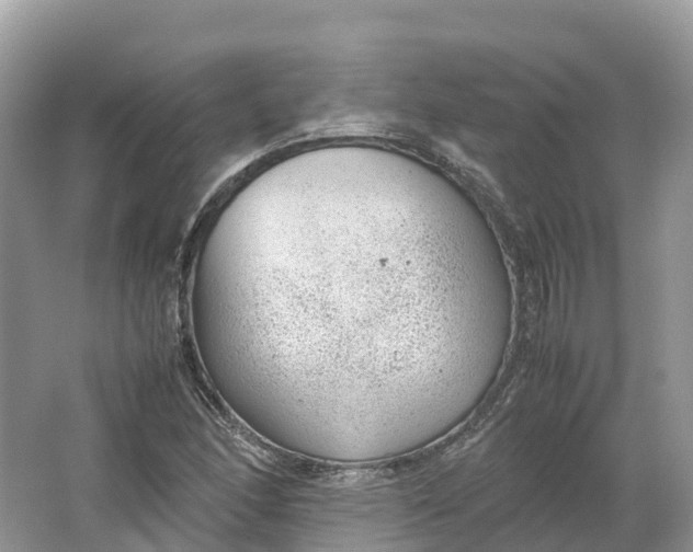 X0000064751166200602241824