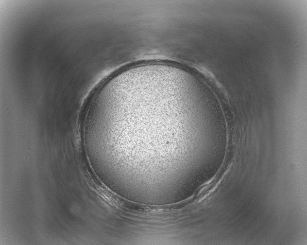 X0000064751167200602241824