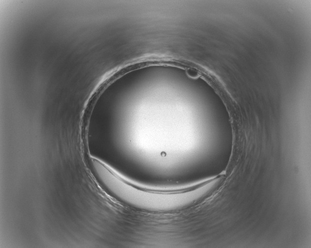 X0000064751168200602241824