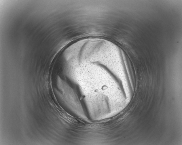 X0000064751170200602241824