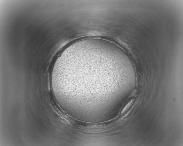 X0000064751171200602241824