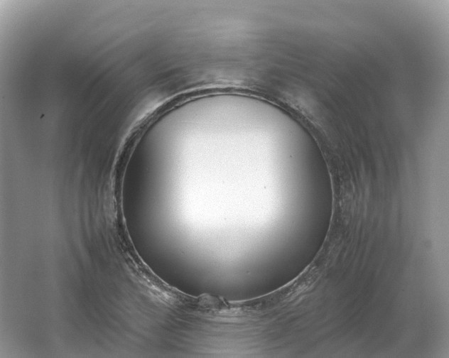 X0000064751172200602241824