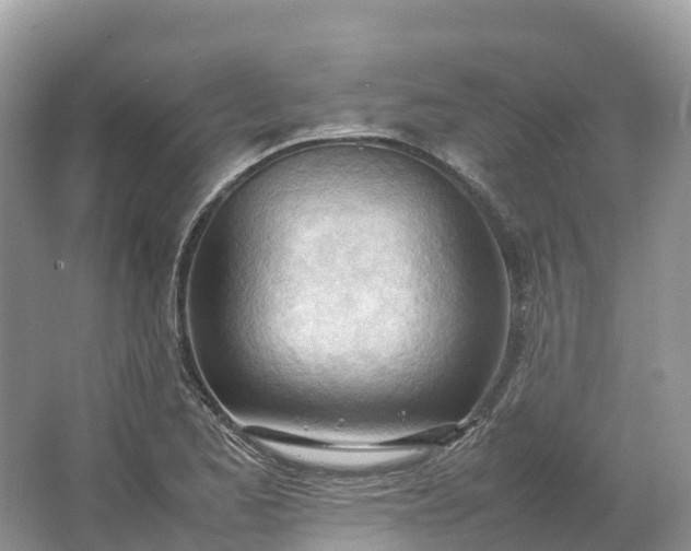 X0000064751173200602241824