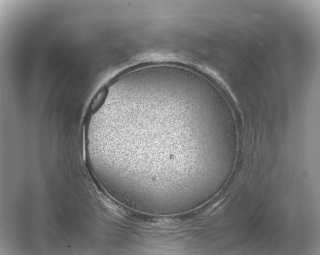 X0000064751175200602241824