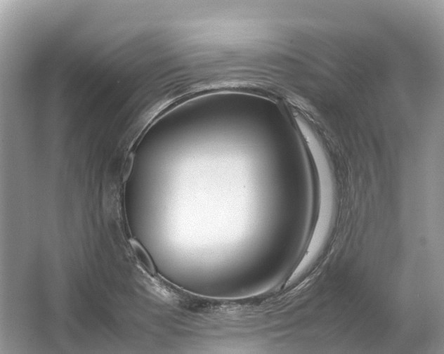 X0000064751177200602241824