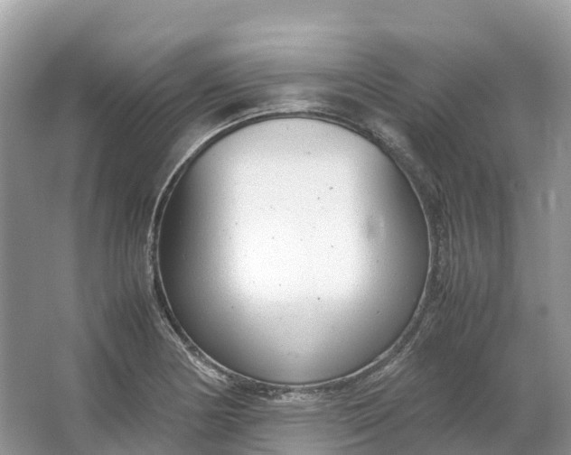 X0000064751178200602241824