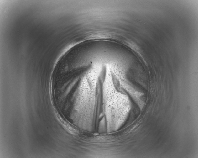 X0000064751179200602241824