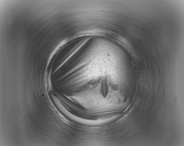 X0000064751180200602241824