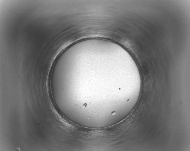 X0000064751181200602241824