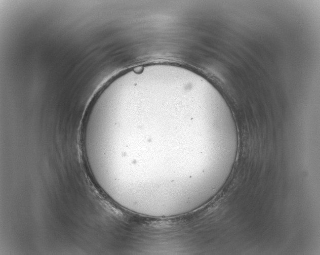 X0000064751182200602241824