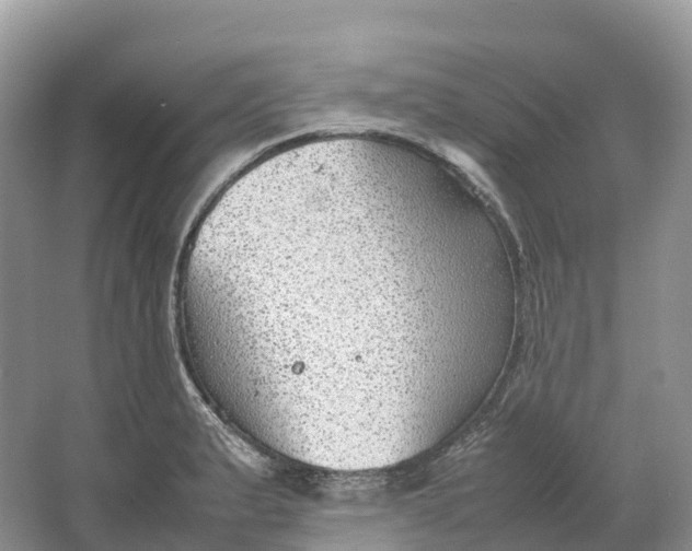 X0000064751183200602241824