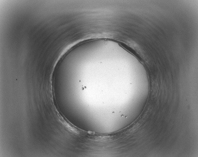 X0000064751184200602241824