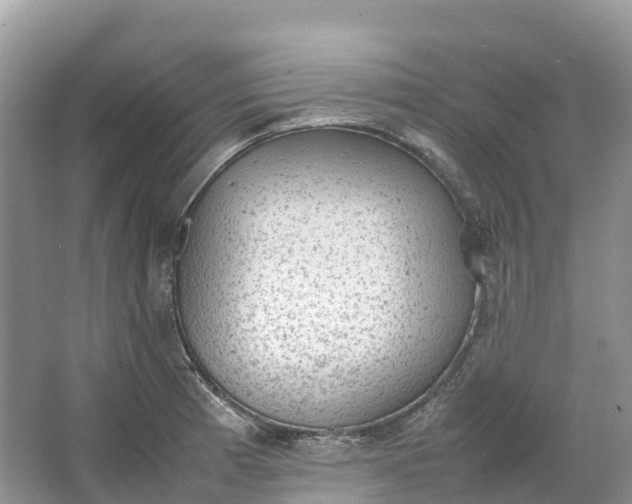 X0000064751185200602241824