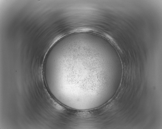 X0000064751186200602241824