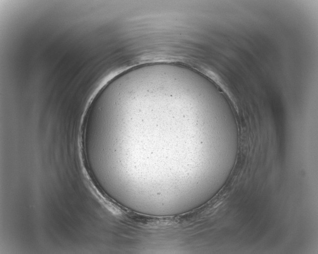 X0000064751187200602241824