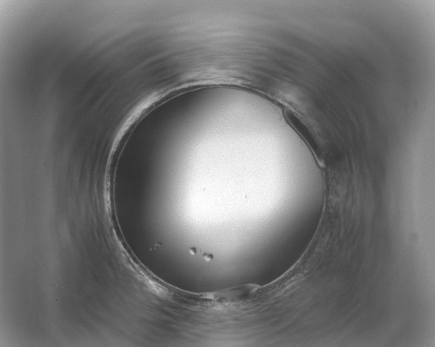 X0000064751188200602241824