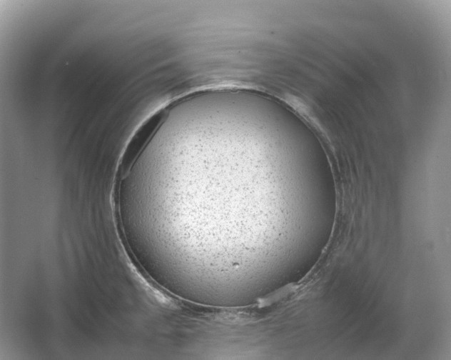 X0000064751189200602241824