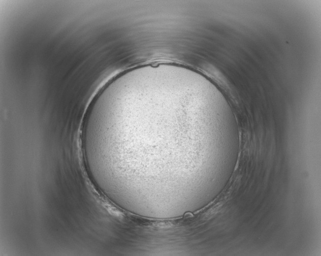 X0000064751190200602241824