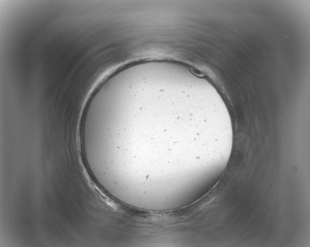 X0000064751191200602241824