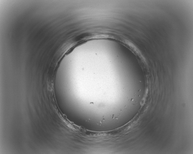 X0000064751193200602241824