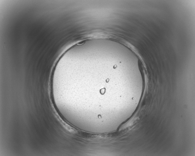 X0000064751195200602241824