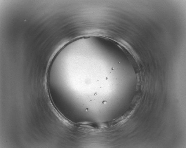 X0000064751196200602241824