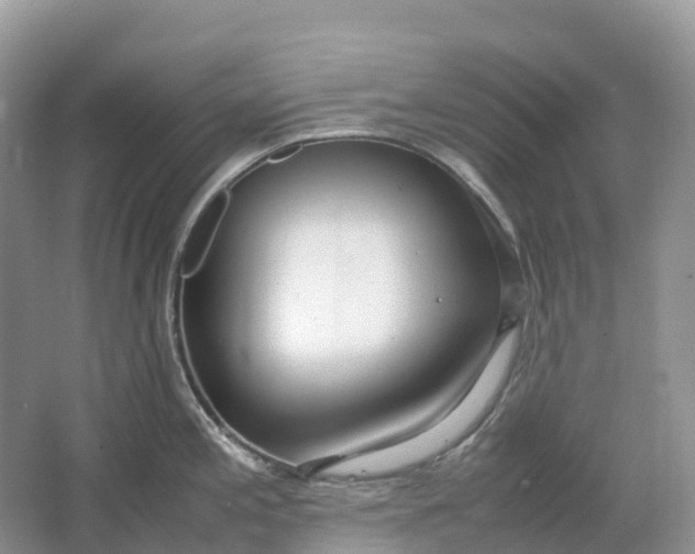 X0000064751197200602241824