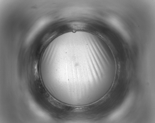 X0000064751198200602241824