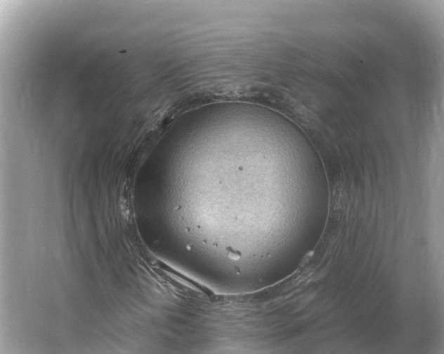 X0000064751202200602241822