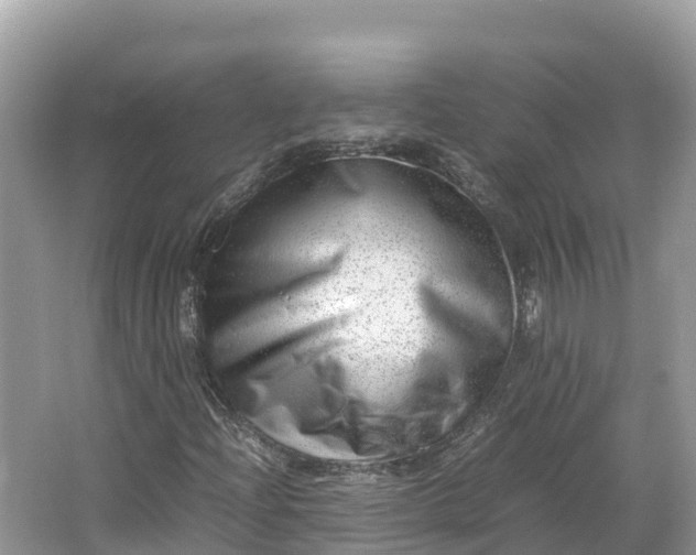 X0000064751204200602241822