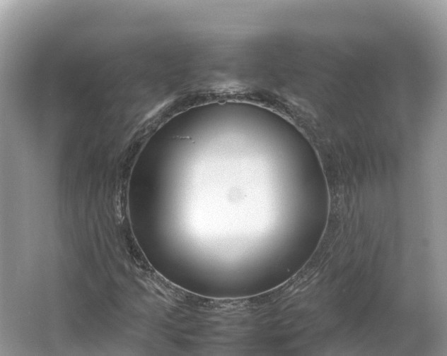 X0000064751205200602241823