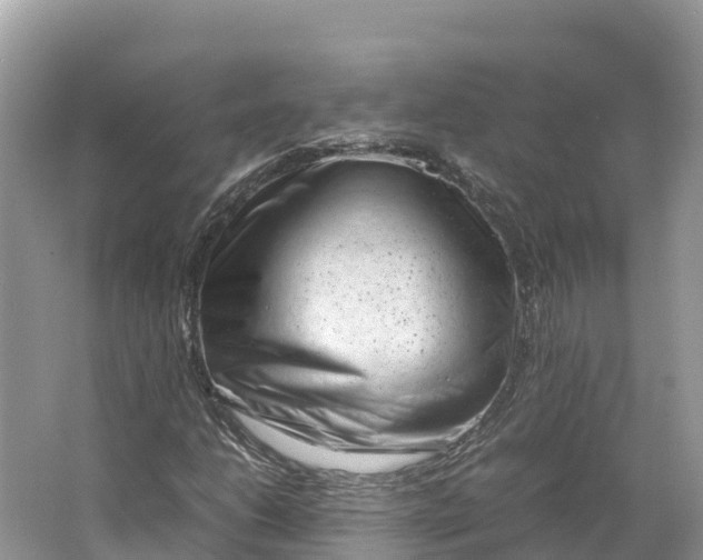 X0000064751206200602241823