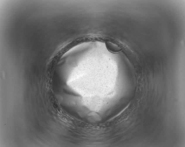 X0000064751207200602241823