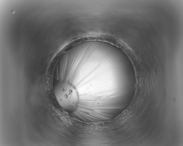 X0000064751208200602241823