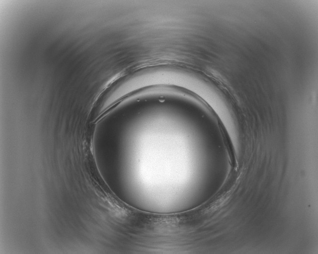 X0000064751210200602241823