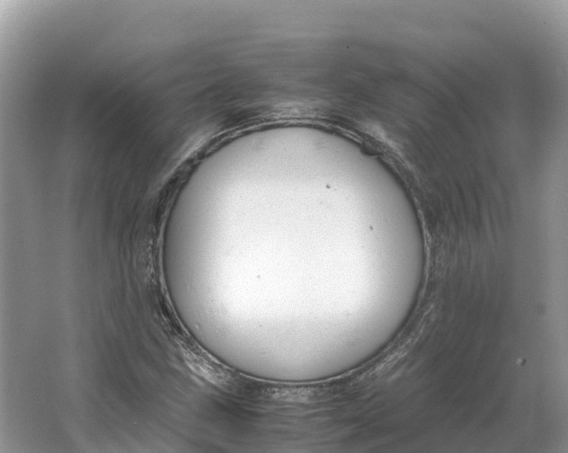 X0000064751211200602241823