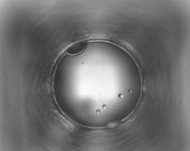 X0000064751212200602241823