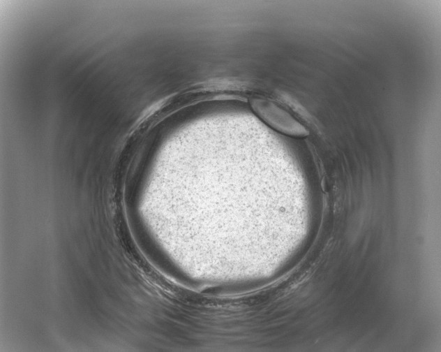 X0000064751213200602241823