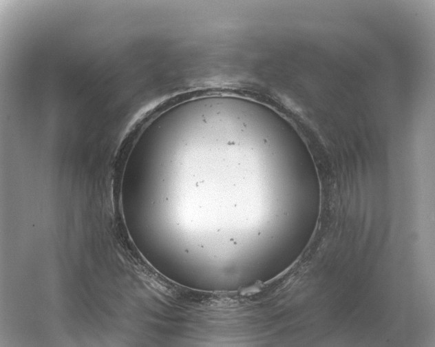 X0000064751214200602241823