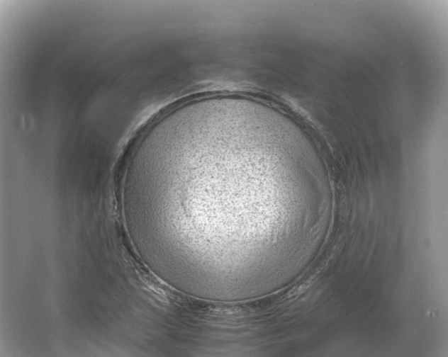 X0000064751215200602241823