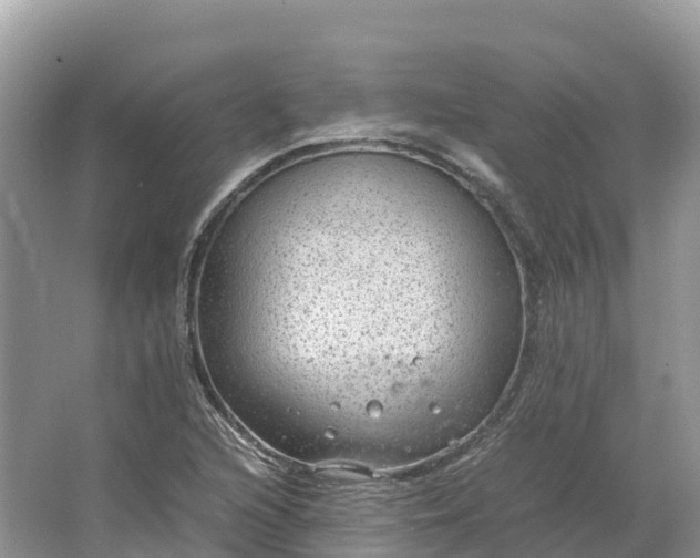 X0000064751216200602241823