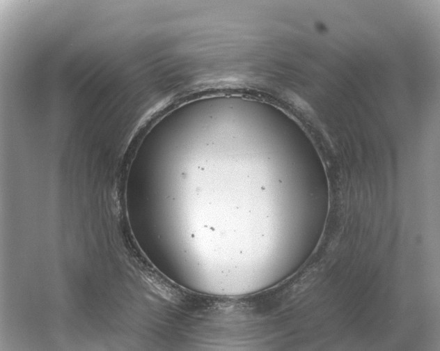 X0000064751218200602241823