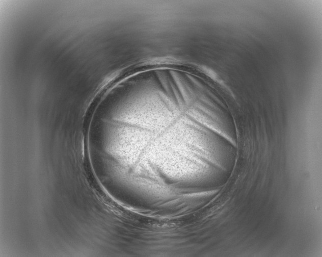 X0000064751221200602241823