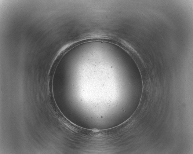 X0000064751222200602241823