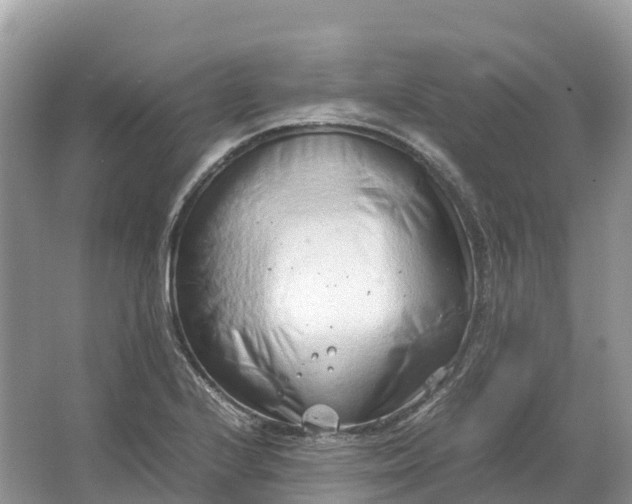 X0000064751224200602241823