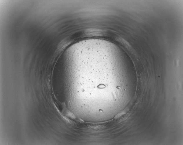 X0000064751225200602241823