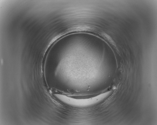 X0000064751226200602241823