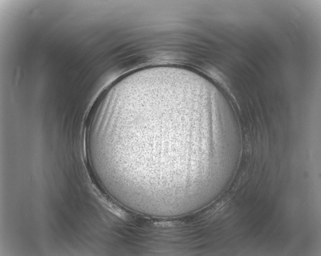 X0000064751227200602241823