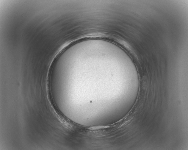 X0000064751229200602241823